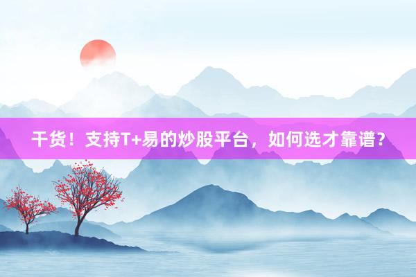 干货！支持T+易的炒股平台，如何选才靠谱？