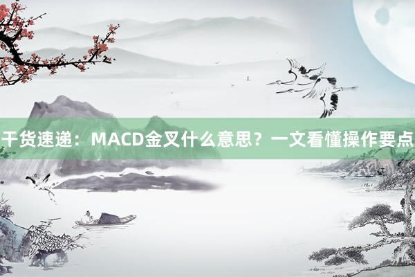 干货速递：MACD金叉什么意思？一文看懂操作要点