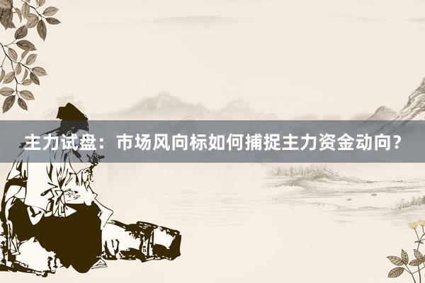 主力试盘：市场风向标如何捕捉主力资金动向？