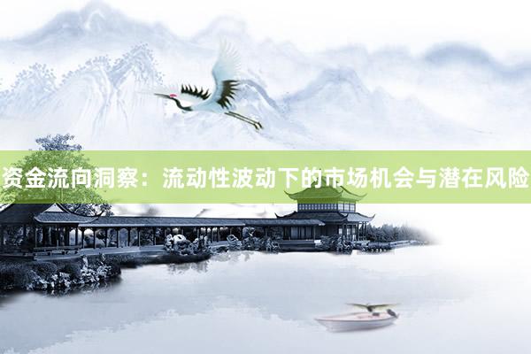 资金流向洞察：流动性波动下的市场机会与潜在风险