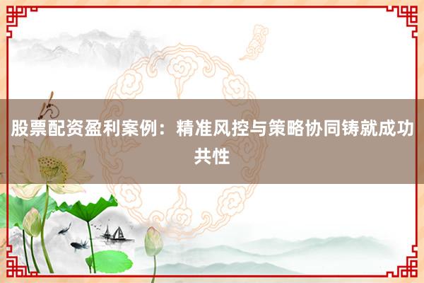 股票配资盈利案例：精准风控与策略协同铸就成功共性