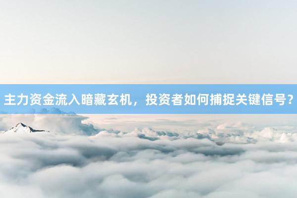 主力资金流入暗藏玄机，投资者如何捕捉关键信号？
