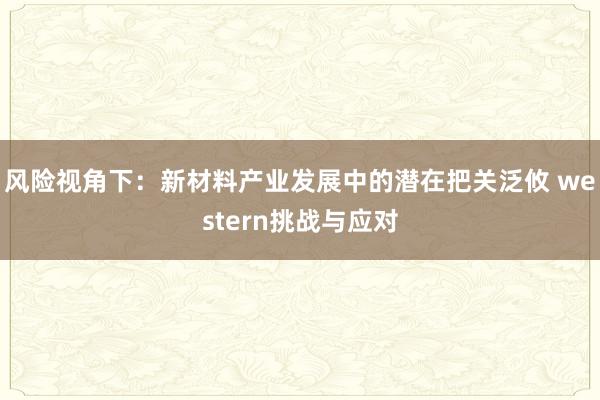 风险视角下:新材料产业发展中的潜在把关泛攸 western挑战与应对