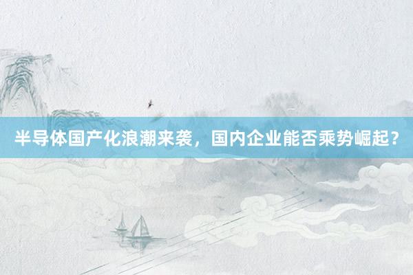 半导体国产化浪潮来袭，国内企业能否乘势崛起？