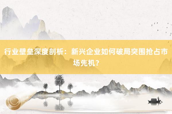 行业壁垒深度剖析：新兴企业如何破局突围抢占市场先机？
