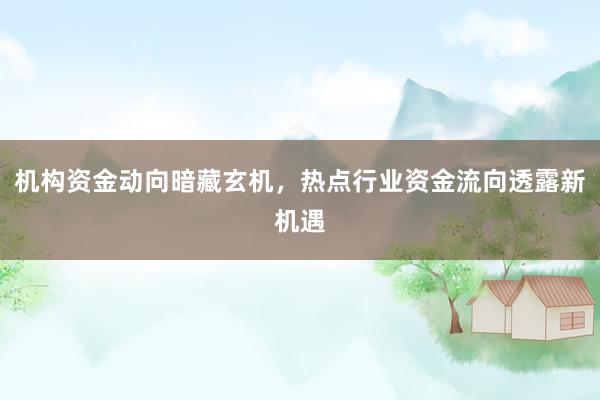 机构资金动向暗藏玄机，热点行业资金流向透露新机遇