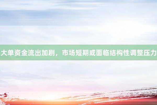 大单资金流出加剧，市场短期或面临结构性调整压力