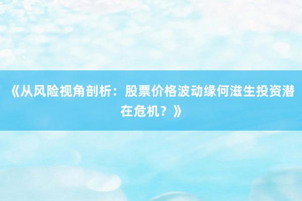 《从风险视角剖析：股票价格波动缘何滋生投资潜在危机？》