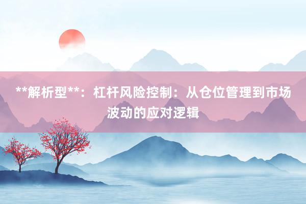 **解析型**：杠杆风险控制：从仓位管理到市场波动的应对逻辑