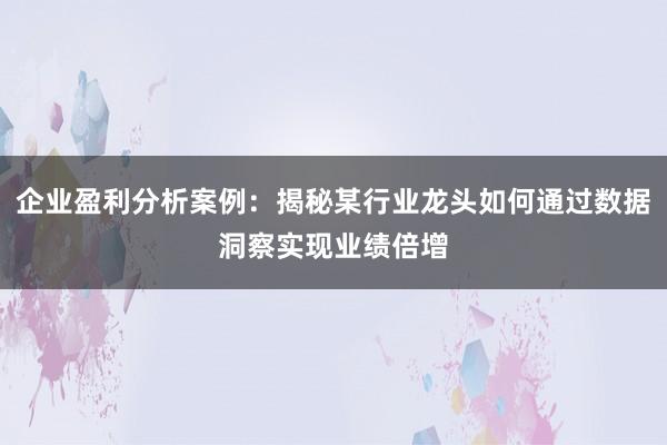 企业盈利分析案例:揭秘某行业龙头如何通过数据洞察实现业绩倍增