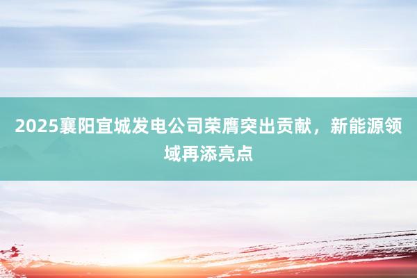 2025襄阳宜城发电公司荣膺突出贡献，新能源领域再添亮点