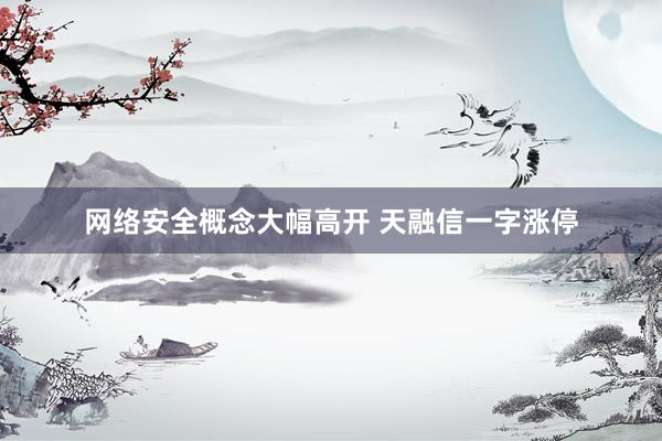 网络安全概念大幅高开 天融信一字涨停